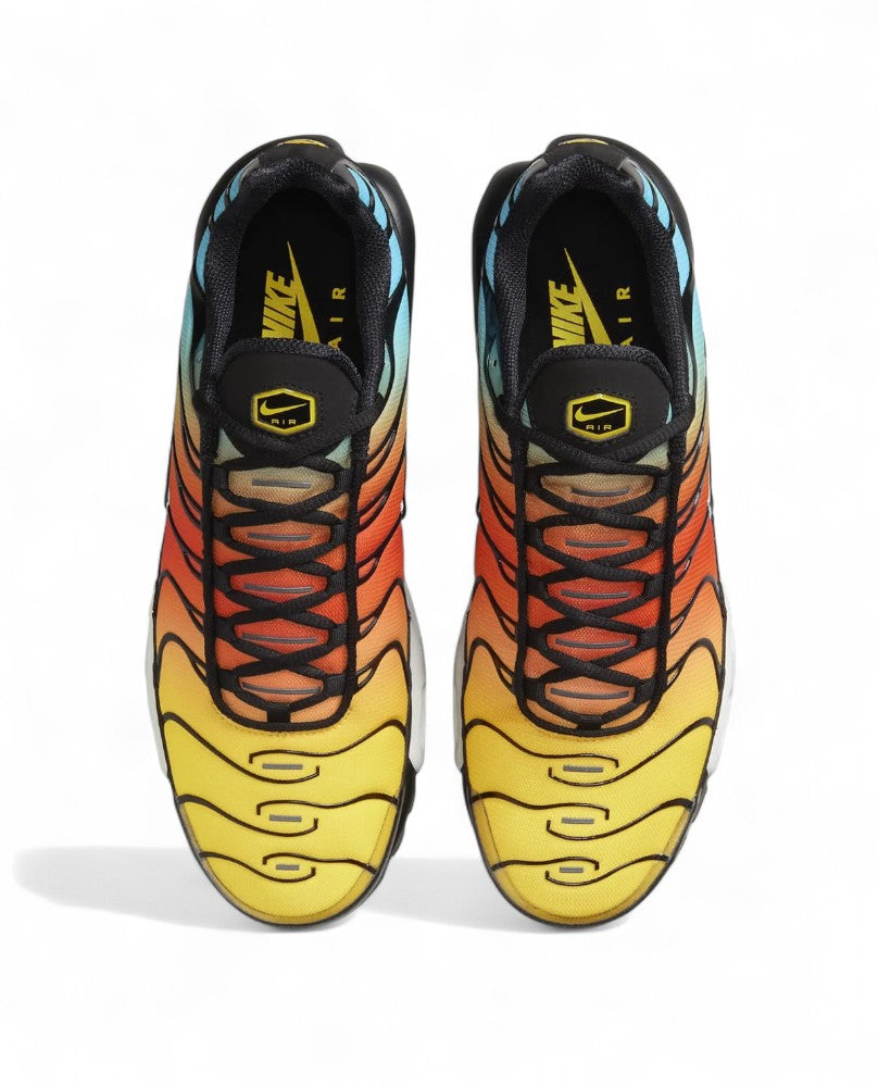 Nike Air Max Plus - Tropical Gradient