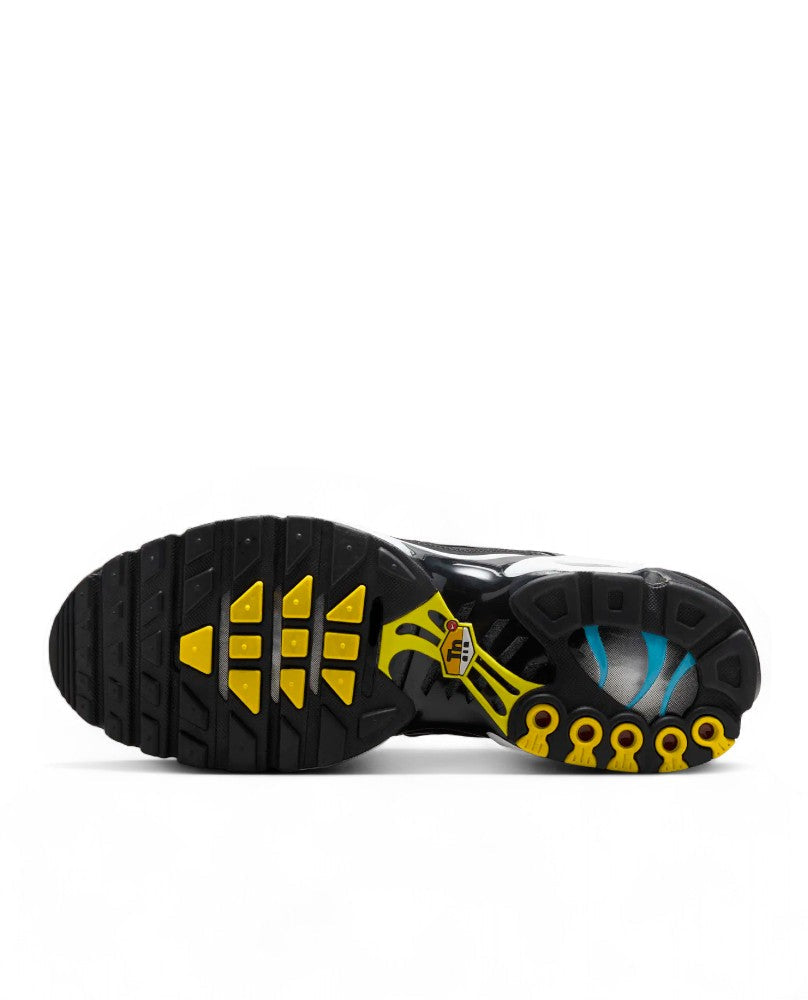 Nike Air Max Plus - Tropical Gradient
