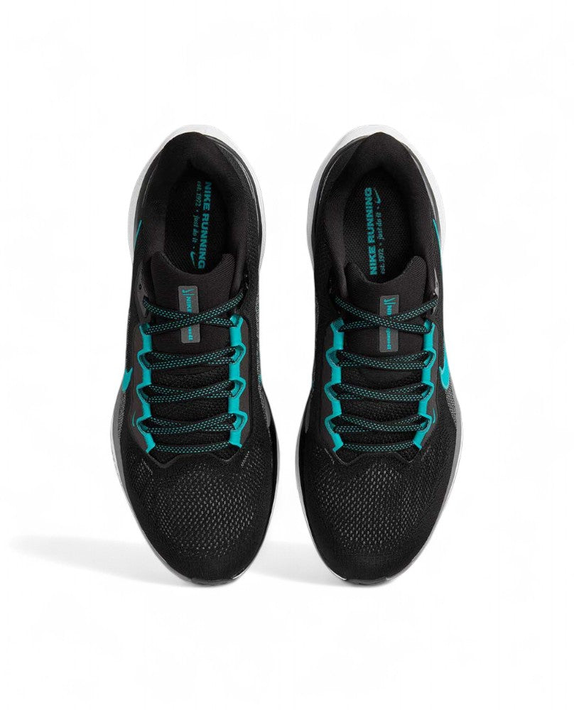 Nike Zoom Pegasus 41 - Black Dusty Cactus Cool