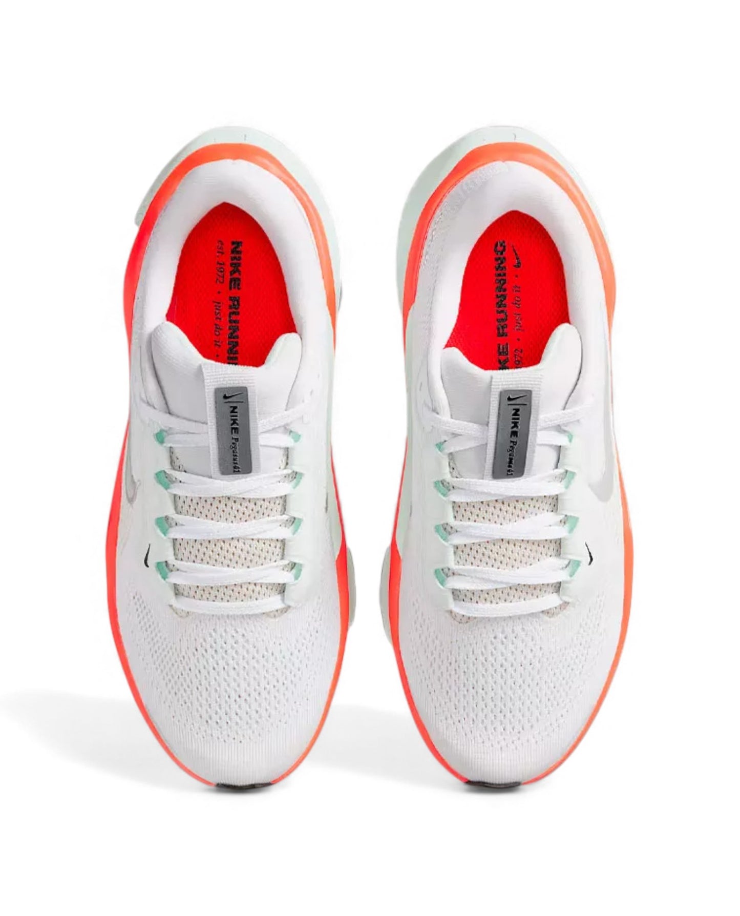 Nike Air Zoom Pegasus 41 - White Metallic Silver