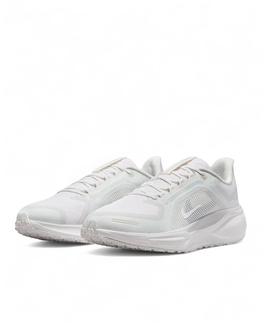 Nike Pegasus 41 GTX - Summit White Dust